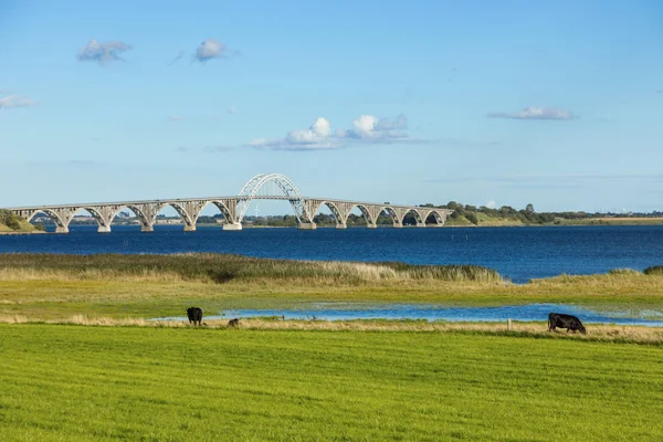 Queen Alexandrine Bridge — Stock Photo, Image