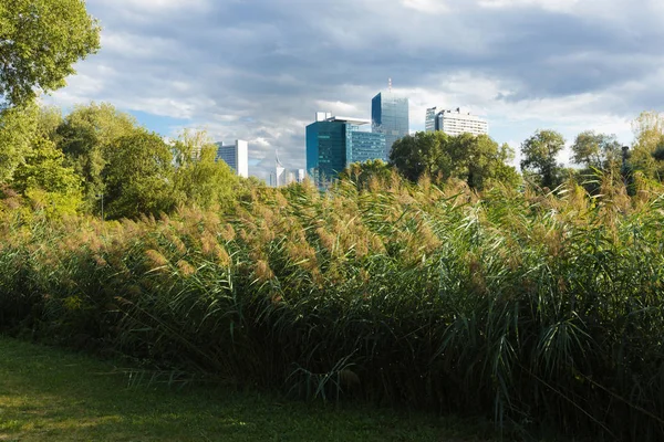 Edificio e parco — Foto Stock