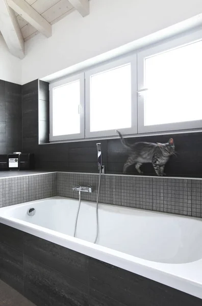 Bathroom with gray tiles, elegant and modern — Stock Photo, Image