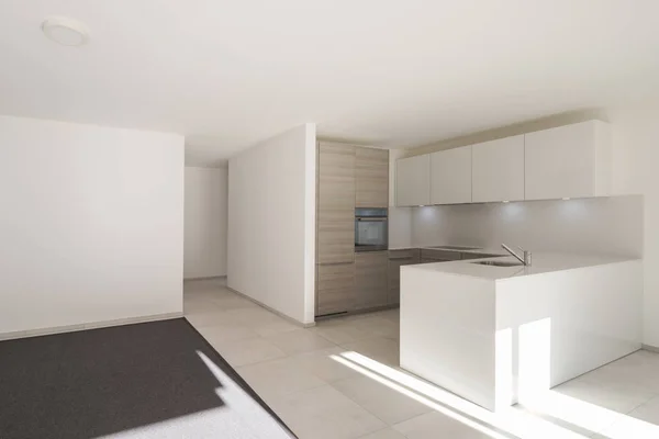Moderne open ruimte met de woonkamer en keuken — Stockfoto