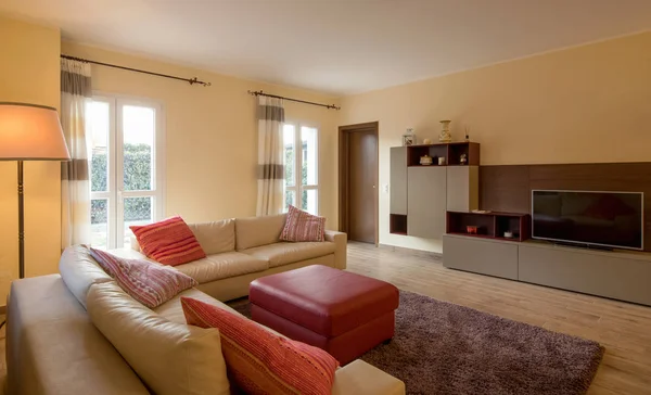 Modern bir dairede bir şekilde döşenmiş oturma odası — Stok fotoğraf