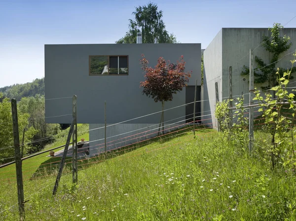 Exteriör modern stil villa — Stockfoto