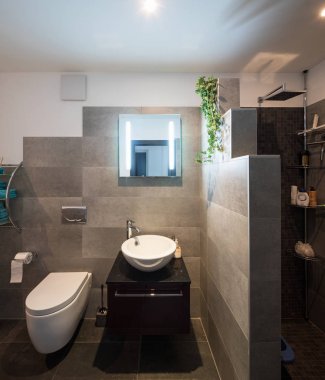 Modern banyo büyük taşlarla