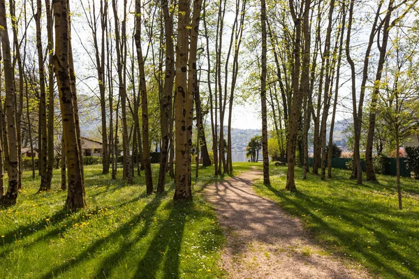 Jardín público bien cuidado en un fantástico día de primavera —  Fotos de Stock