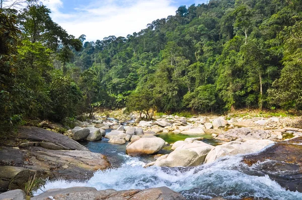Laos ormanda küçük taşlı şelale
