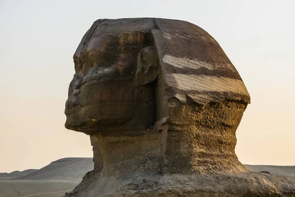 Szef Wielki Sfinks w Gizie — Zdjęcie stockowe