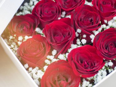 Romantik kırmızı güller, kırmızı güllerle kapalı kutular, korunmuş ro