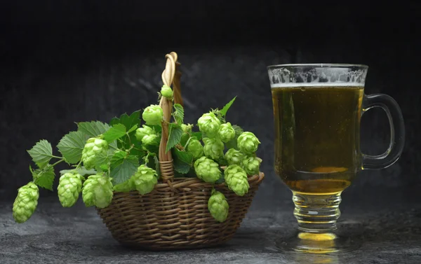 Composição cerveja e lúpulo — Fotografia de Stock