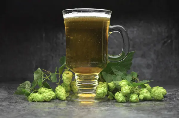 Komposition von Bier und Hopfen — Stockfoto