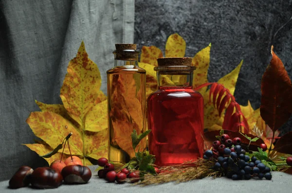 Tinktur Herbstzusammensetzung — Stockfoto