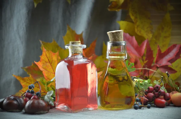 Tincture in a autumn composition — Stock Photo, Image