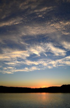 Göl manzaralı yaz zamanı poleni