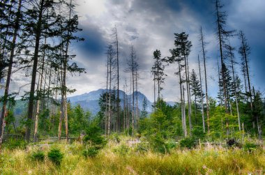 Tatra Dağları yaz saati hdr görüntüleme