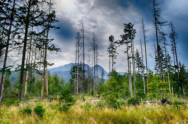 Tatra Dağları yaz saati hdr görüntüleme
