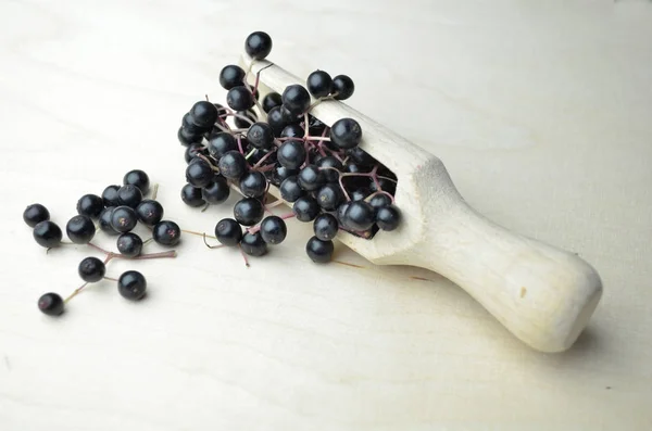 Jardinería de frutas frescas de saúco — Foto de Stock