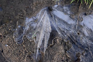 donmuş su birikintisi kış zamanı