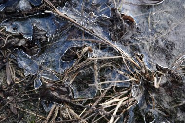 donmuş su birikintisi kış zamanı