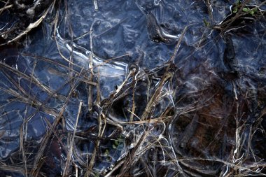 donmuş su birikintisi kış zamanı