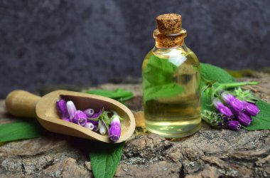 comfrey yağı biyoorganik