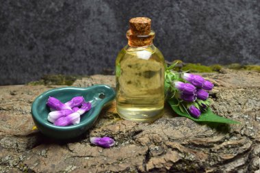 comfrey yağı biyoorganik