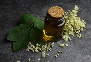 Mürver şurubu ev yapımı, organik.