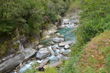 Taş ve nehir manzara