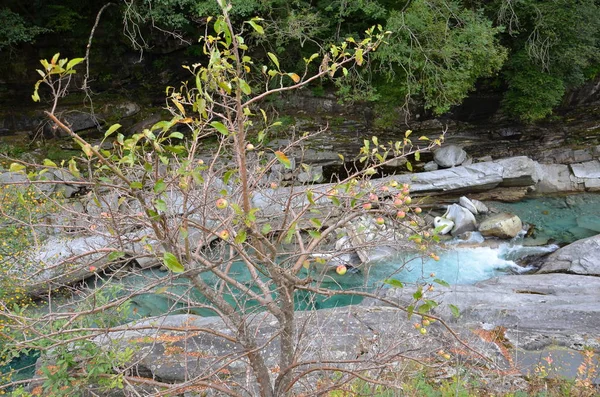 Klippor Verzasca Valley Kantonen Ticino Schweiz — Stockfoto