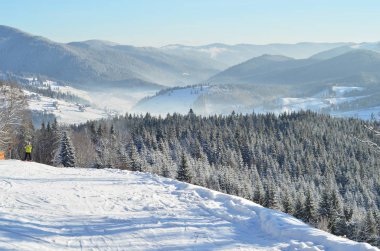 Karla kaplı ağaçlarla kaplı kış manzarası