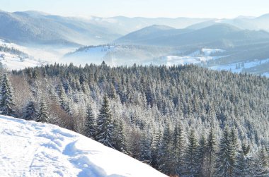 Karla kaplı ağaçlarla kaplı kış manzarası