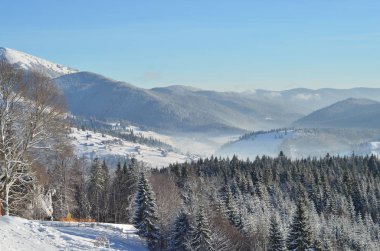 Karla kaplı ağaçlarla kaplı kış manzarası
