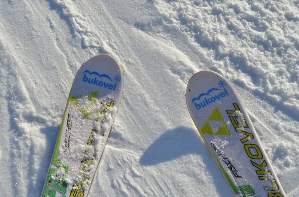Ski with Bukovel sign on snow. Winter sports.