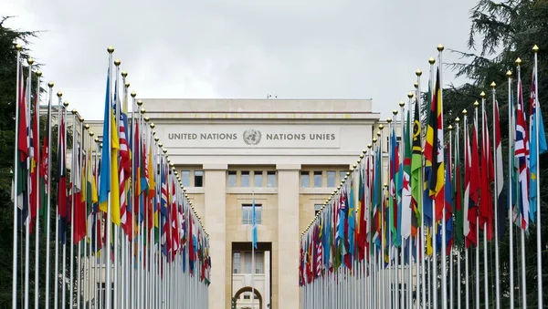 Banderas internacionales en postes de bandera frente al palacio de la ONU Imagen De Stock