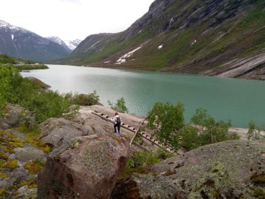Kopya alanı ile Norveç dağ peyzaj