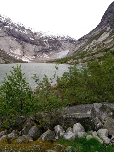 Zelená tráva, jezero a horské pozadí. Jezero v horách — Stock fotografie