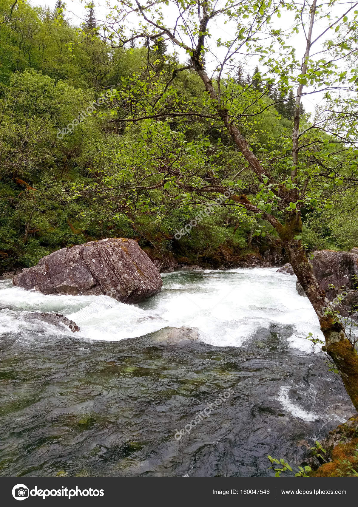 1600 natural outdoor