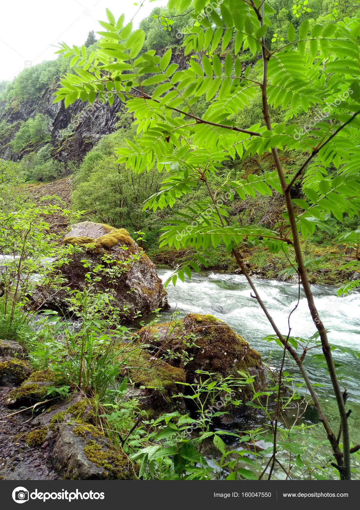 1600 natural outdoor