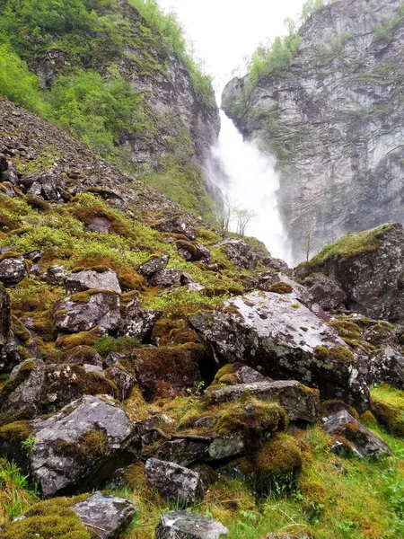 Grön natur bakgrund med kopia utrymme Stockbild