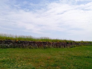 Mavi gökyüzü karşı yeşil çim alan. Doğa arka plan.