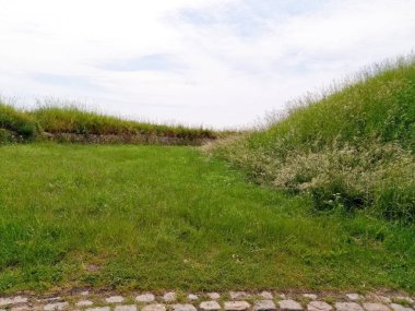 Mavi gökyüzü karşı yeşil çim Sahası