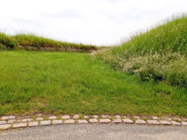 Mavi gökyüzü karşı yeşil çim alan. Doğa arka plan.