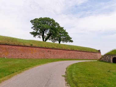 Mavi gökyüzü karşı yeşil çim alan. Doğa arka plan.