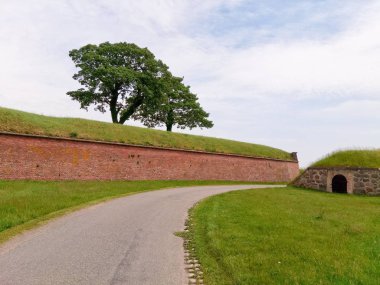 Mavi gökyüzü karşı yeşil çim Sahası