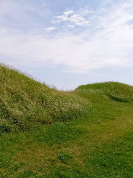 Doğa manzara, yeşil çimen, mavi gökyüzü