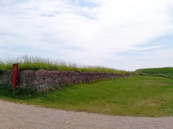 Mavi gökyüzü karşı yeşil çim alan. Doğa arka plan.