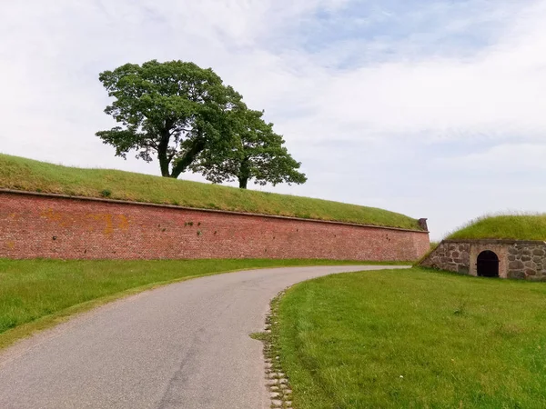 Mavi gökyüzü karşı yeşil çim Sahası