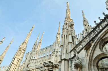 Milano'da duomo. 