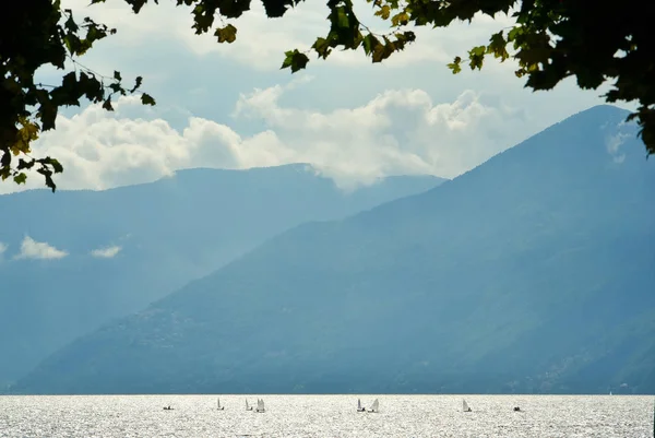 Plachetnice jachta, Regata závodů. Panoramatický pohled — Stock fotografie