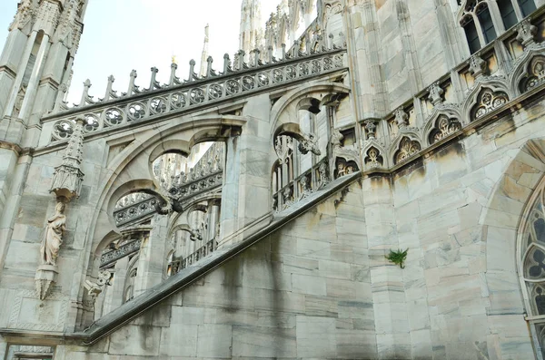 Duomo i Milano. Marmor Terrasse - Stock-foto