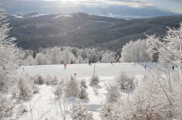 Fabuloso Inverno Montanha Fundo Com Abetos Neve — Fotografia de Stock