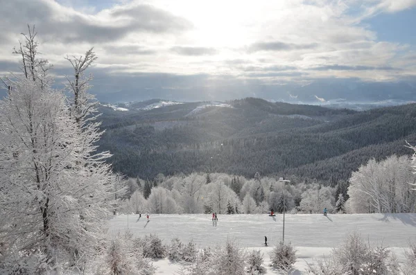 Kış Manzarası Arka Plan Gökyüzü Dağ Çam Ormanıyla Kaplı — Stok fotoğraf